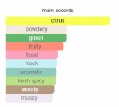 Asian Green Tea - Creed - Eau de Parfum - Unisex - 10ml thumbnail