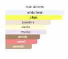 French Avenue Muse - 80ml - Unisex thumbnail