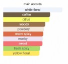 2021 Nights - Renier Perfumes - Extrait de Parfum - Unisex - 5ml thumbnail