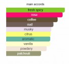 Kayali - Oudgasm Café Oud - Edp Intense - 10ml - Unisex thumbnail