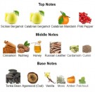 Cuir d'Encens - ALYSONOLDOINI - Extrait de Parfum - Menn - 5ml thumbnail