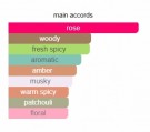 Rose Gold - Xerjoff - Eau de Parfum - Unisex - 3ml thumbnail