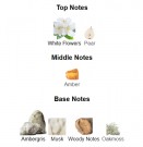 Eternal - Arcadia - Eau de Parfum - Unisex - 10ml thumbnail