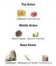 Ambre Saba - Reine de Saba - Extrait de Parfum - Unisex - 10ml thumbnail
