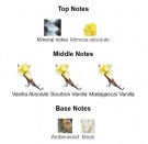 Novae Vanilla - Atelier des Ors - Eau de Parfum - Unisex - 3ml thumbnail