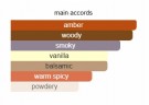 French Avenue Spicy Amber EDP - 100ml - Unisex thumbnail