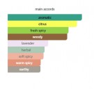 Viking Cologne - Creed - Eau de Parfum - Menn - 3ml thumbnail