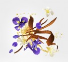 Xerjoff - Rqua regia - Parfum - Unisex - 100ml thumbnail