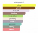 Aventus Cologne - Creed - Eau de Parfum - Menn - 10ml thumbnail