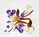 Xerjoff - Rqua regia - Parfum - Unisex - 50ml thumbnail