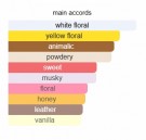 Out In The Open - A13 - Extrait de Parfum - Unisex - 5ml thumbnail