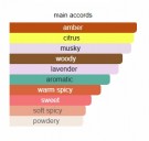 Light Breeze - House of Dastan - Extrait de Parfum - Unisex - 3ml thumbnail