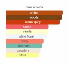 Blonde Amber - Clive Christian - Extrait de Parfum - Unisex- 10ml thumbnail