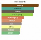 Crystal Oud - ALYSONOLDOINI - Extrait de Parfum - Menn - 10ml thumbnail