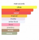 Torino24 - Xerjoff - Eau de Parfum - Unisex - 5ml thumbnail