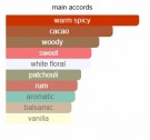Atelier Materi - Cacao Porcelana - Eau De Parfum - Unisex - 3ml thumbnail