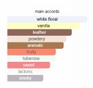 Hundred Silent Ways X - Nishane - Extrait de Parfum - Unisex - 10ml thumbnail