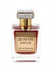 Divin Aoud French Avenue EDP - 100ml - Unisex thumbnail