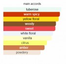 Reine de Midi - Reine de Saba - Extrait de Parfum - Unisex - 5ml thumbnail