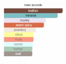 Catch You Back - Al Ambra - Extrait de Parfum - Unisex - 3ml thumbnail