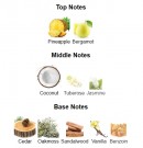 Coco Moon - Beach Geeza - Eau de Parfum - Unisex - 5ml thumbnail