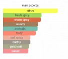 Creed - Absolu Aventus - Eau De Parfum - Menn - 10ml thumbnail