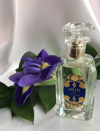 Iris des Champs - Houbigant - Eau de Parfum - Damer - 5ml