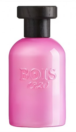Rosa di Filare Bois 1920 - Unisex