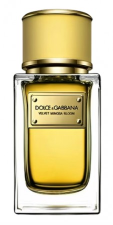 Velvet Mimosa Bloom Dolce&Gabbana - Damer