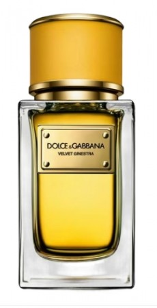 Velvet Ginestra Dolce&Gabbana - Damer