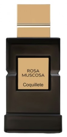 Rosa Muscosa Coquillete - Unisex