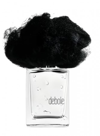 Pioggia Debole - Filippo Sorcinelli - Extrait de Parfum - Unisex - 10ml