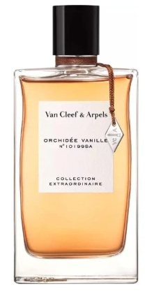 Orchidée Vanille