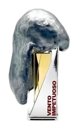 Vento Impetuoso - Filippo Sorcinelli - Extrait de Parfum - Unisex - 10ml