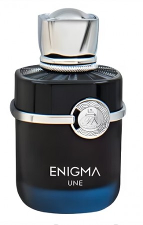 French Avenue Enigma Une EDP - 100ml - Menn