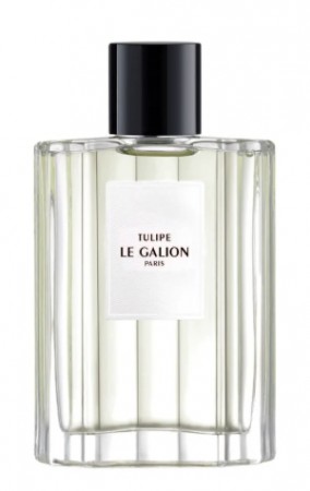 Tulipe Le Galion - Unisex