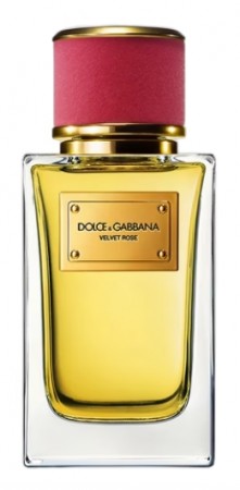 Velvet Rose Dolce&Gabbana - Damer